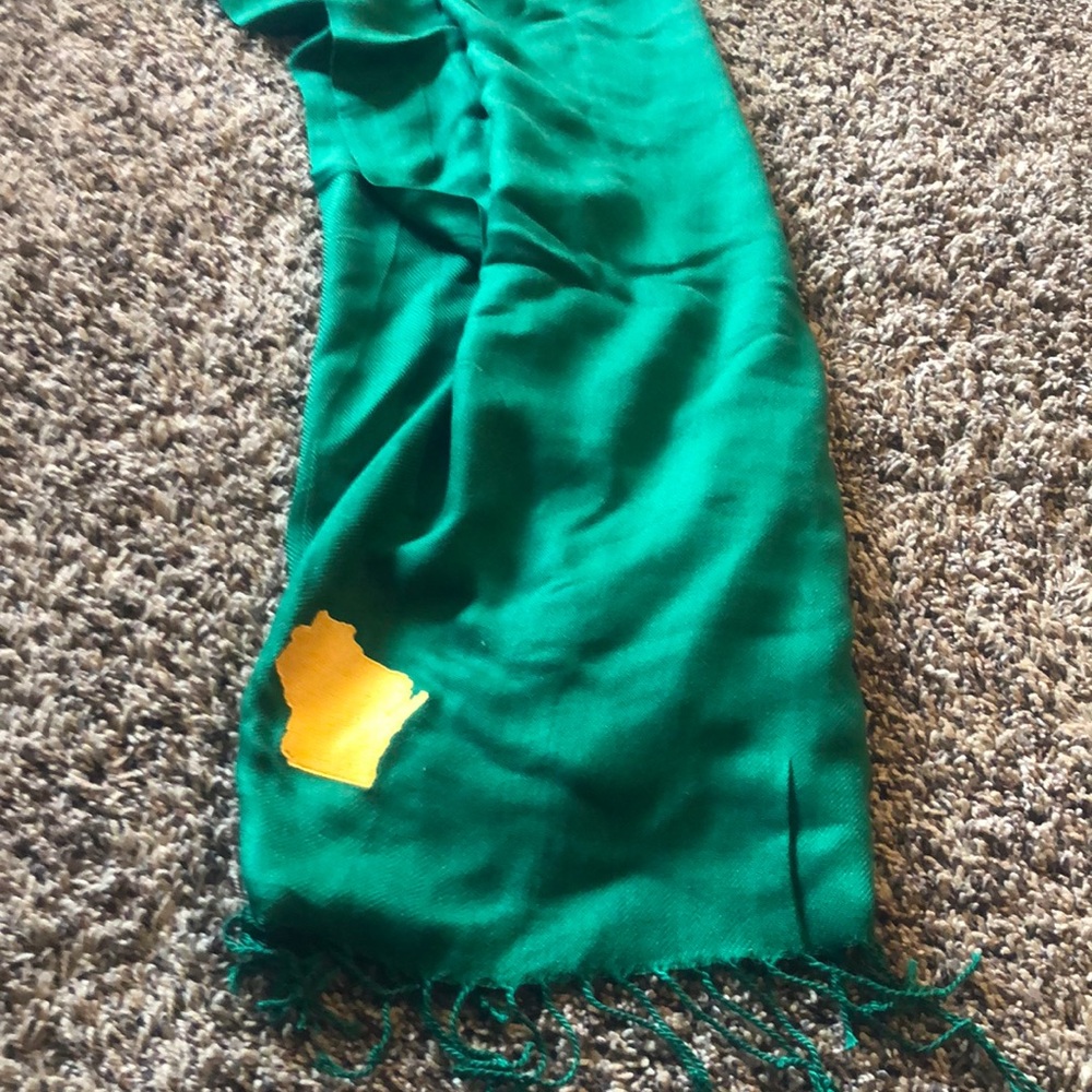 Wisconsin scarf